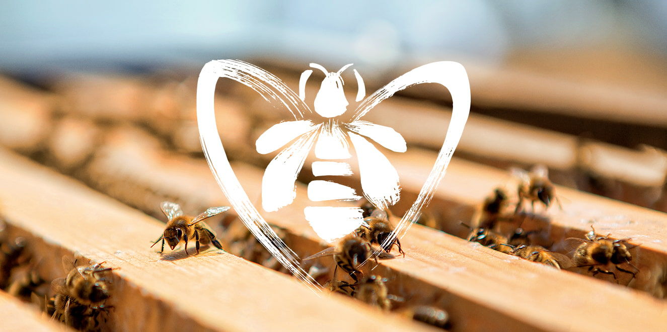 Journée mondiale de l'abeille Guerlain