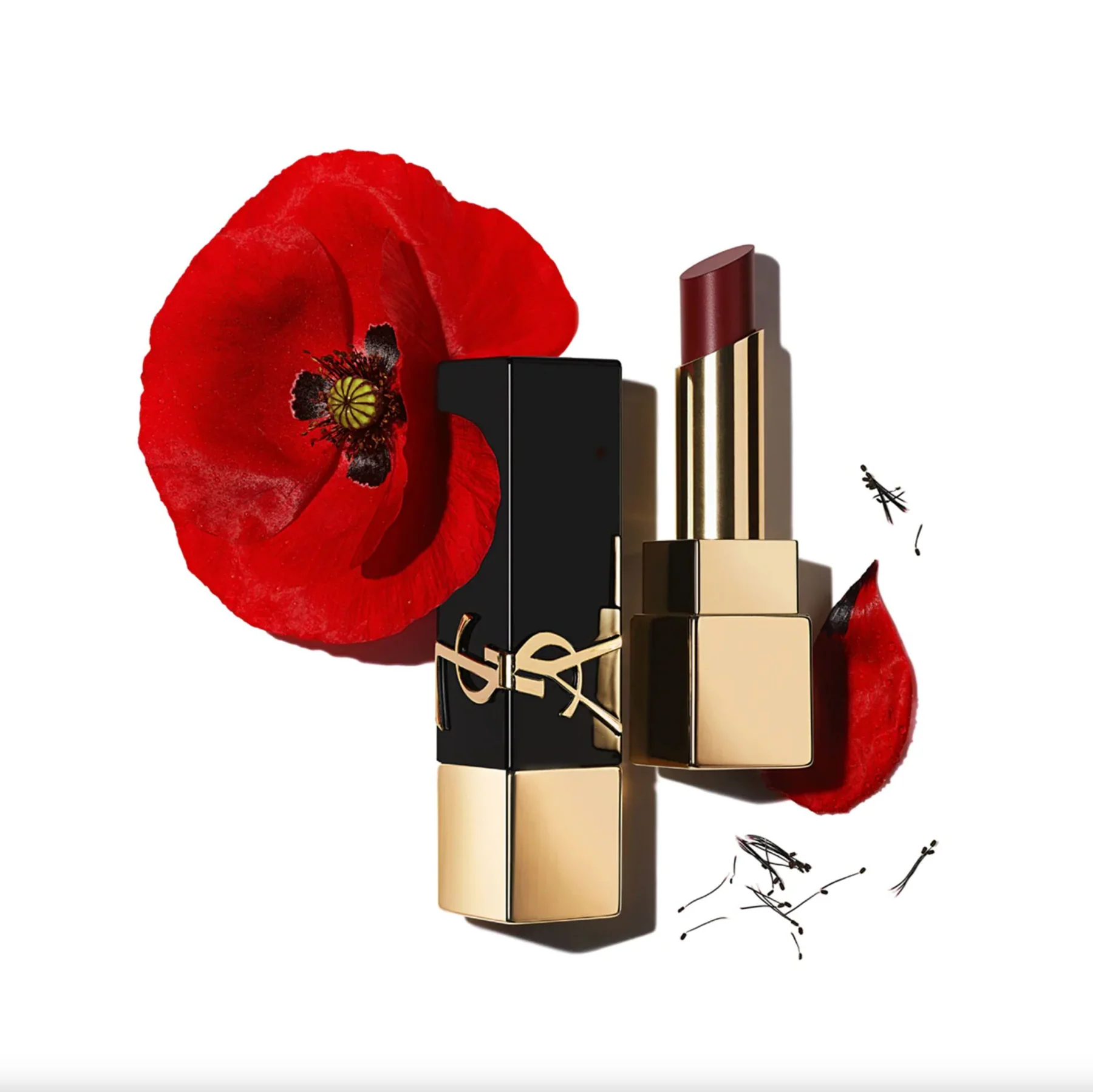 Black Friday Point M The Bold YSL