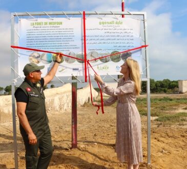 TAV Tunisie & Tortues marines
