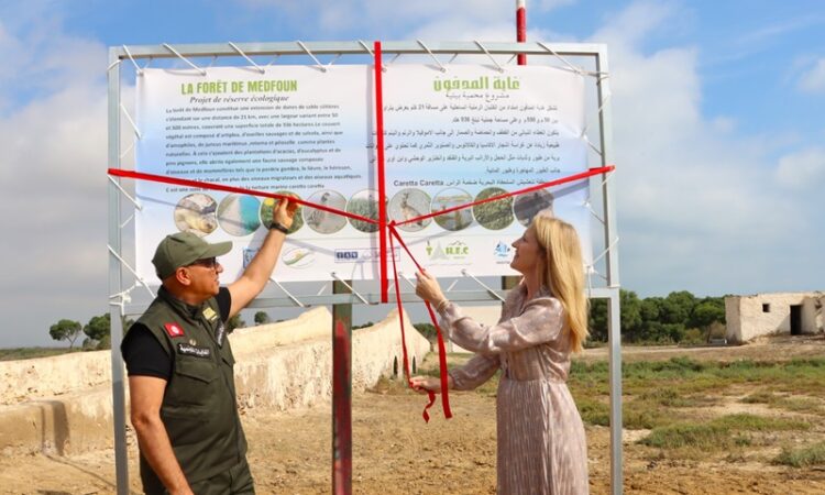 TAV Tunisie & Tortues marines