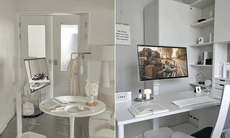 LG & Smart Monitor Swing