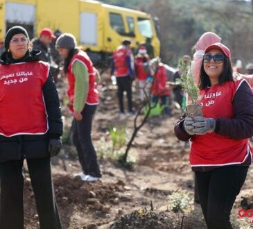 Ooredoo Tunisie & reforestation