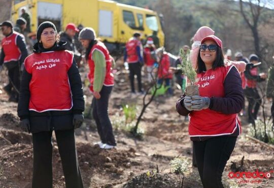 Ooredoo Tunisie & reforestation