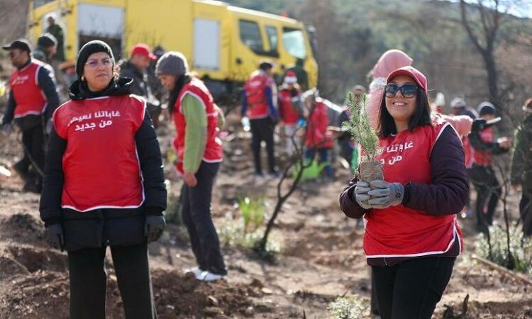 Ooredoo Tunisie & reforestation