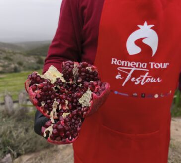 Romena Tour à Testour