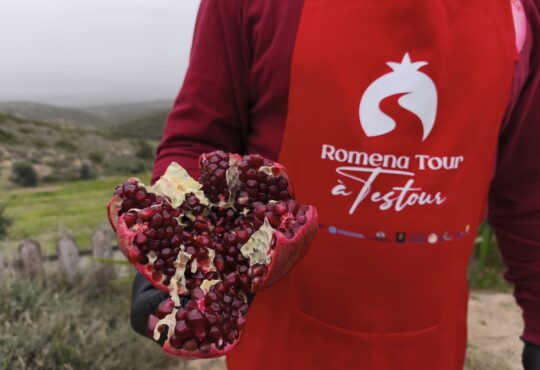 Romena Tour à Testour