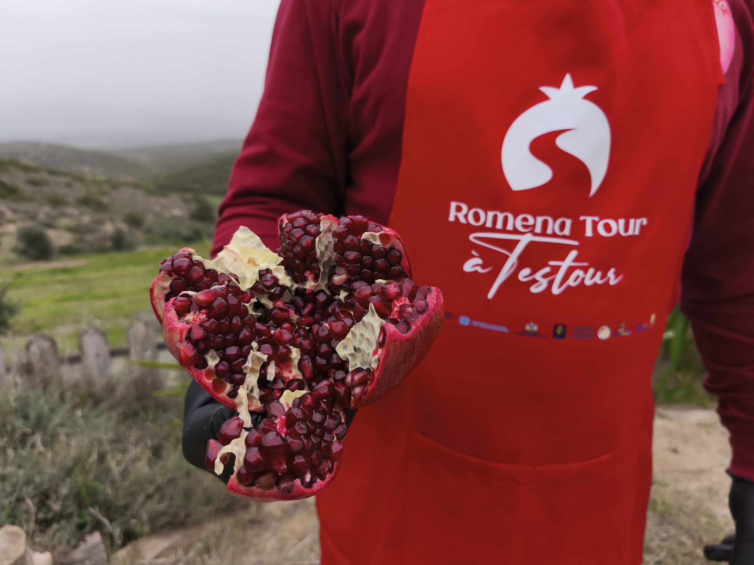 Romena Tour à Testour