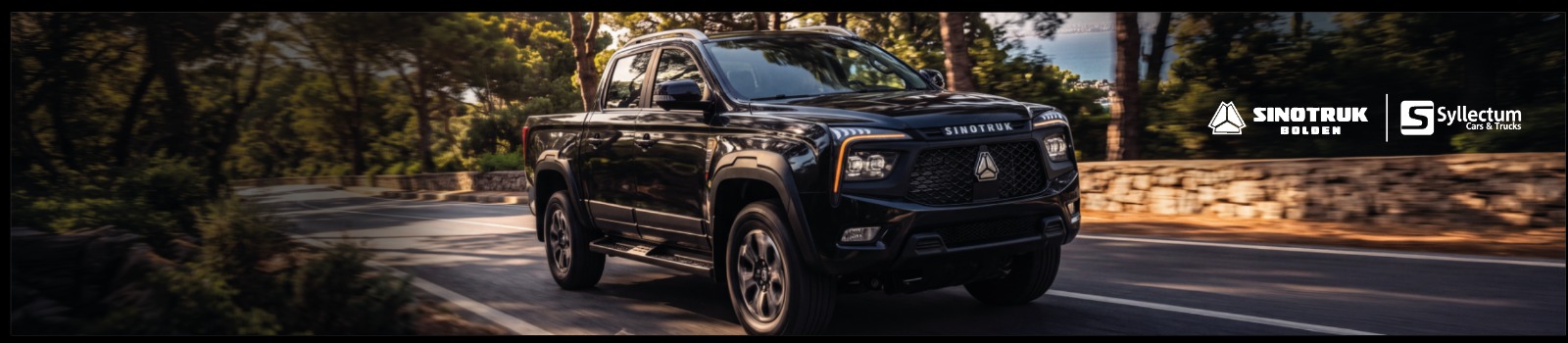 SINOTRUK Pick-up Bolden
